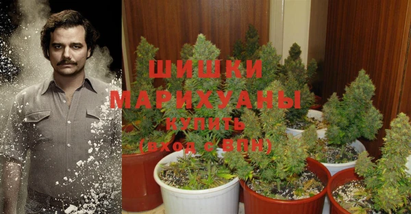 дмт Зеленокумск