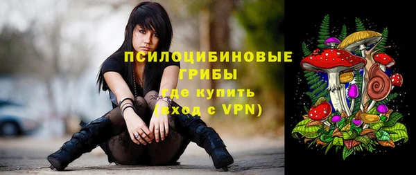 дмт Зеленокумск