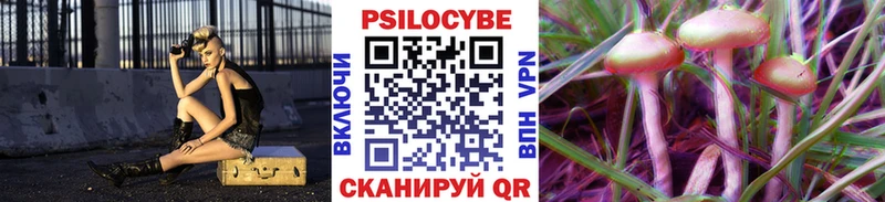 Псилоцибиновые грибы Psilocybine cubensis  Купить где  Всеволожск 
